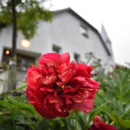 乡村民宿 Hisa Vilmos / House Vilmos Prosenjakovci